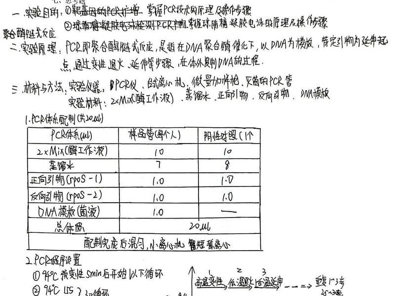 web前端大作业实验报告(web前端大作业实例) web前端大作业实验报告(web前端大作业实例)