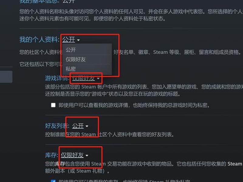 steamapi域名名称怎么填(steam网页api域名怎么填) steamapi域名名称怎么填(steam网页api域名怎么填)