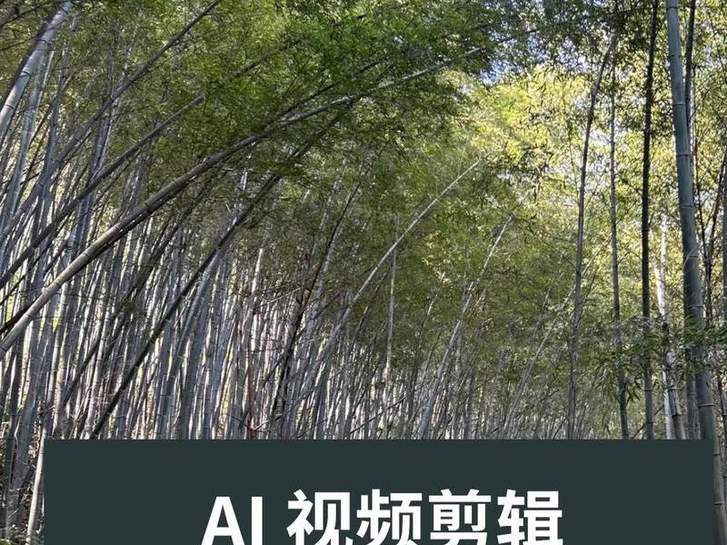 java图片生成视频,java图片合成视频 java图片生成视频,java图片合成视频