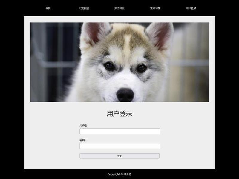 html成品 html5成品