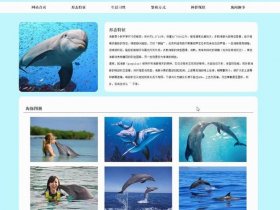 html作业、html学生作业