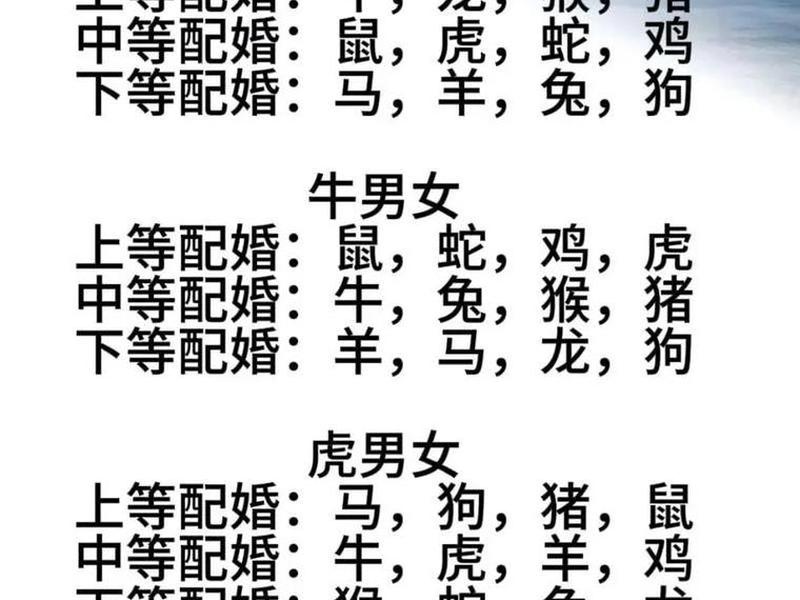 1980年属什么生肖配对,1980年属什么生肖配对最好 1980年属什么生肖配对,1980年属什么生肖配对最好