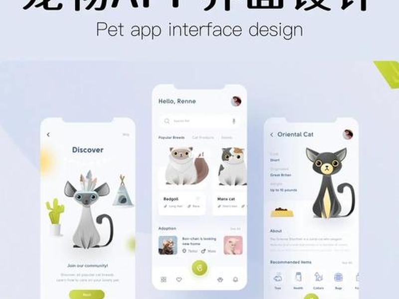app设计方案模板 - app设计方案模板怎么做 app设计方案模板 - app设计方案模板怎么做