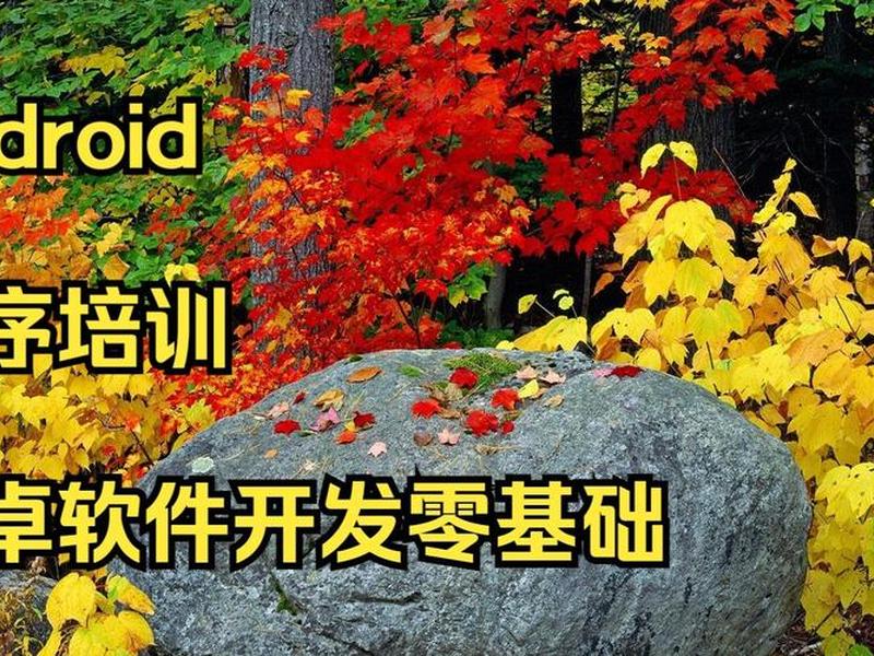 0基础软件开发学习;0基础学软件开发好学吗 0基础软件开发学习;0基础学软件开发好学吗
