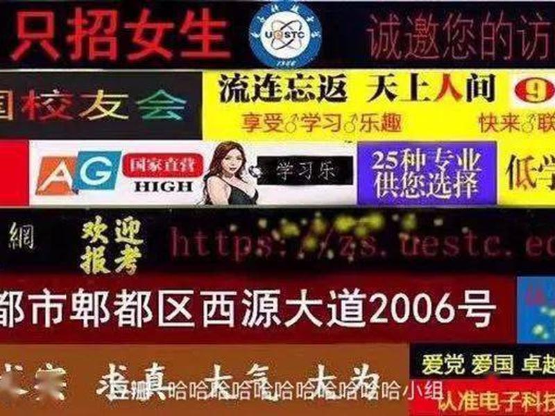 51网站官网,51网站怎么倒闭了 51网站官网,51网站怎么倒闭了